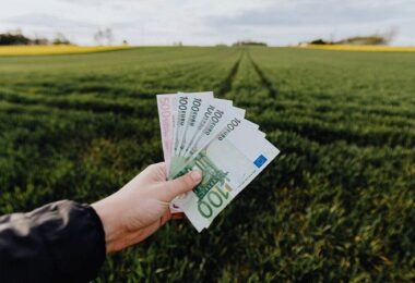Geld, Gehalt, bedingungsloses Grundeinkommen in Deutschland