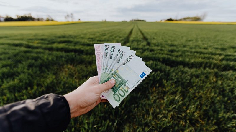 Geld, Gehalt, bedingungsloses Grundeinkommen in Deutschland