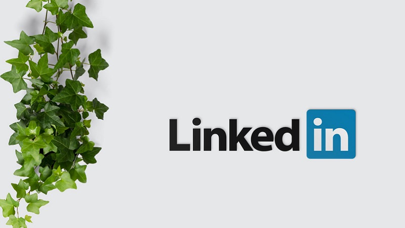 LinkedIn, lustige LinkedIn-Nachrichten, LinkedIn-Anfragen, LinkedIn-Spam