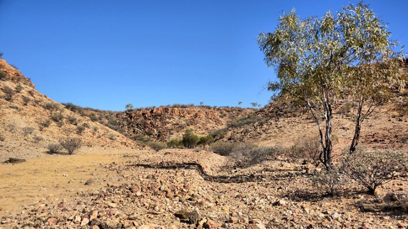 Queensland Australien, Hunters Gorge, Diamantina Nationalpark, Buschland, Outback