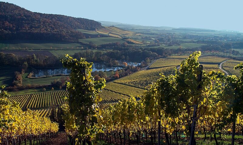 Stollburg, Weinberge, Wein, Laub, Steigerwald, Handtal