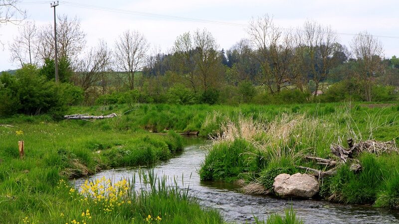 Weißbach, Unterallgäu, Bach, Fluss, Natur, Bayern