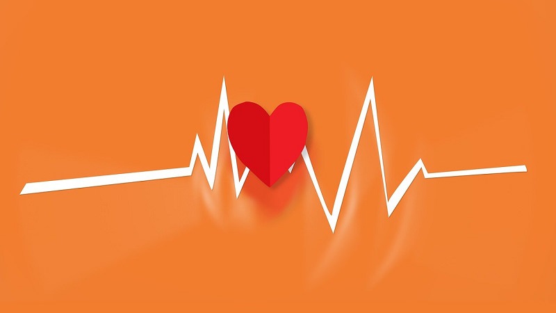 Herzschlag, Herz, Herzfrequenz, Puls, Bewerbungsfragen