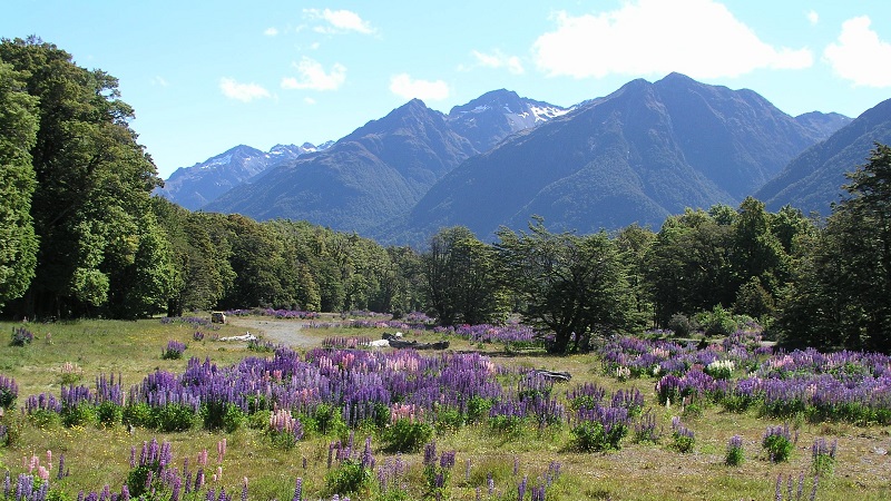 Arthur´s Pass, Neusseland, Neusseländische Alpen, Tranzalpine