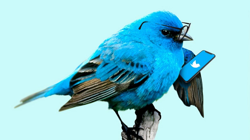 Twitter, Twitter-Vogel, blauer Vogel, Twitter-Algorithmus