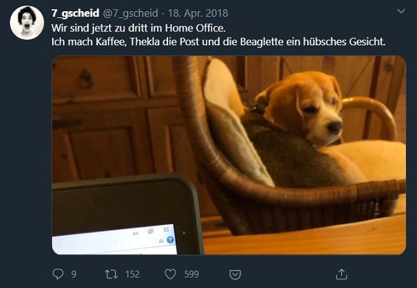 Twitter, Tweets, Home Office, Remote Work, lustige Home-Office-Tweets, lustige Home Office Tweets