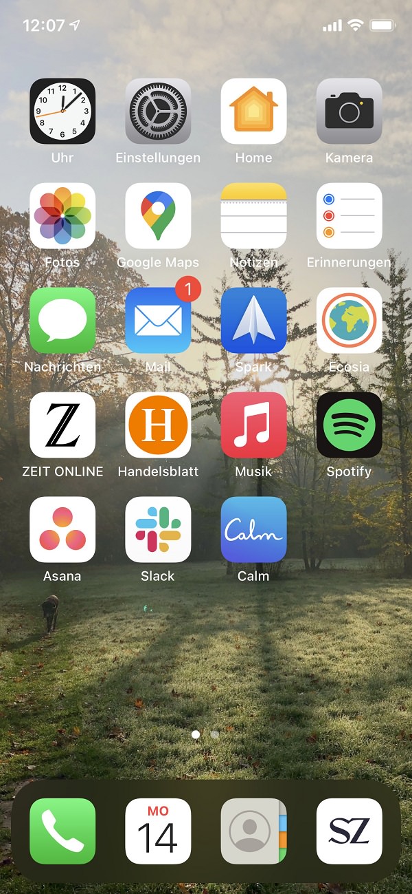 Homescreen, Apple, Apps, iPhone, Ronny Höher, Orfgen Marketing