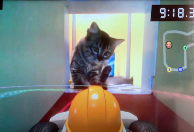 Mario Kart Live, Nintendo, Spiele, Katzen