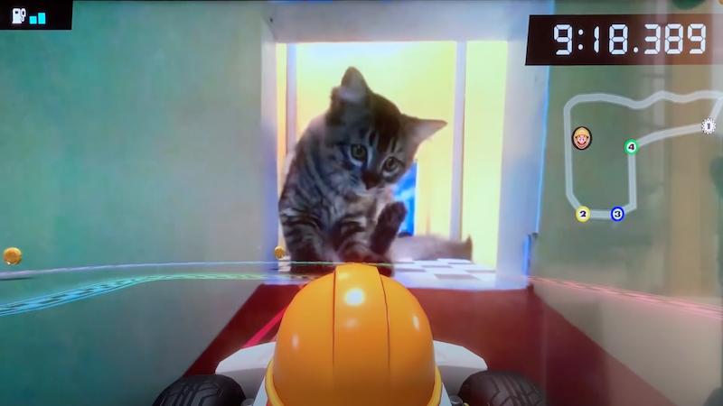 Mario Kart Live, Nintendo, Spiele, Katzen