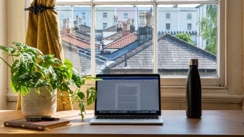 Home-Office, Computer, Pflanze, beste Arbeitsbedingungen
