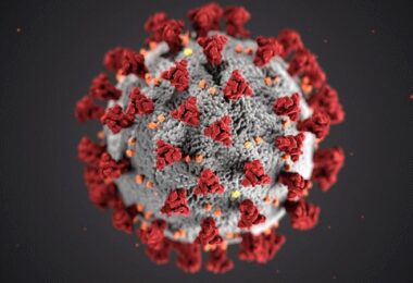 Virus, Viren, Coronavirus, Corona-Inzidenz, Corona-Inzidenz-Widget bauen