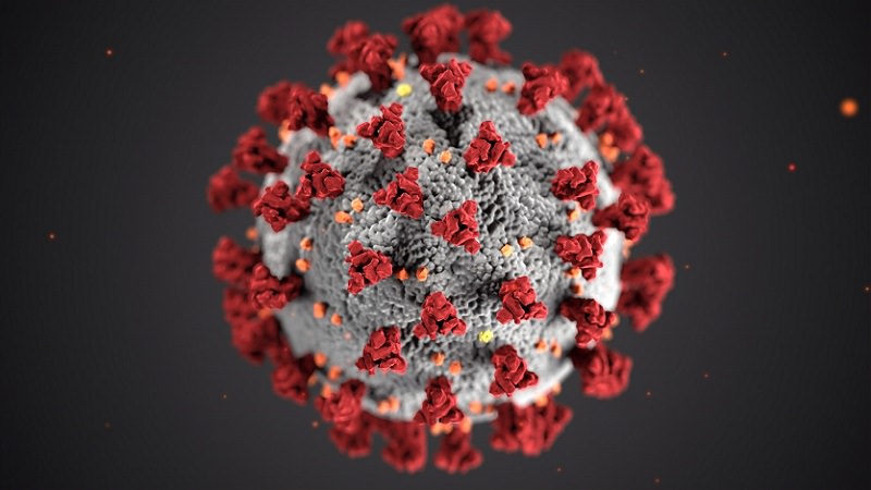 Virus, Viren, Coronavirus, Corona-Inzidenz, Corona-Inzidenz-Widget bauen