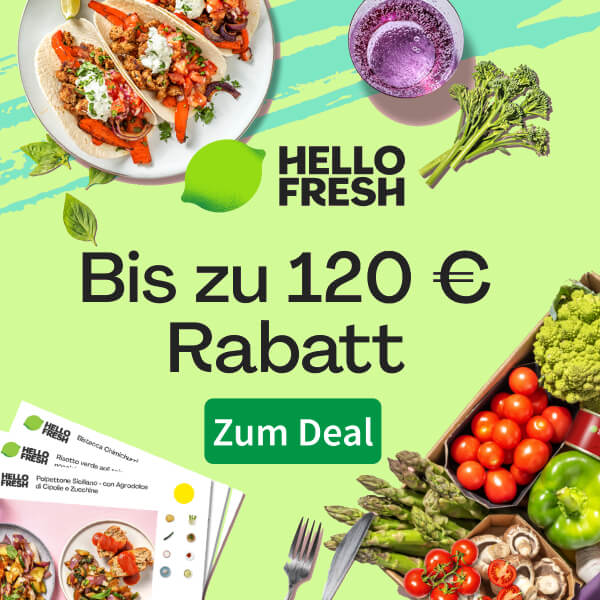 Balkonkraftwerk Solarstrom vom Balkon direkt in die Steckdose [Anzeige]