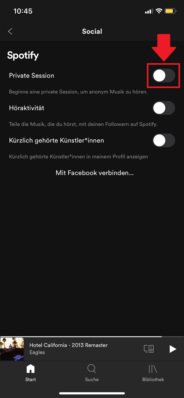 Spotify, Spotify Einstellungen, Spotify Private Session