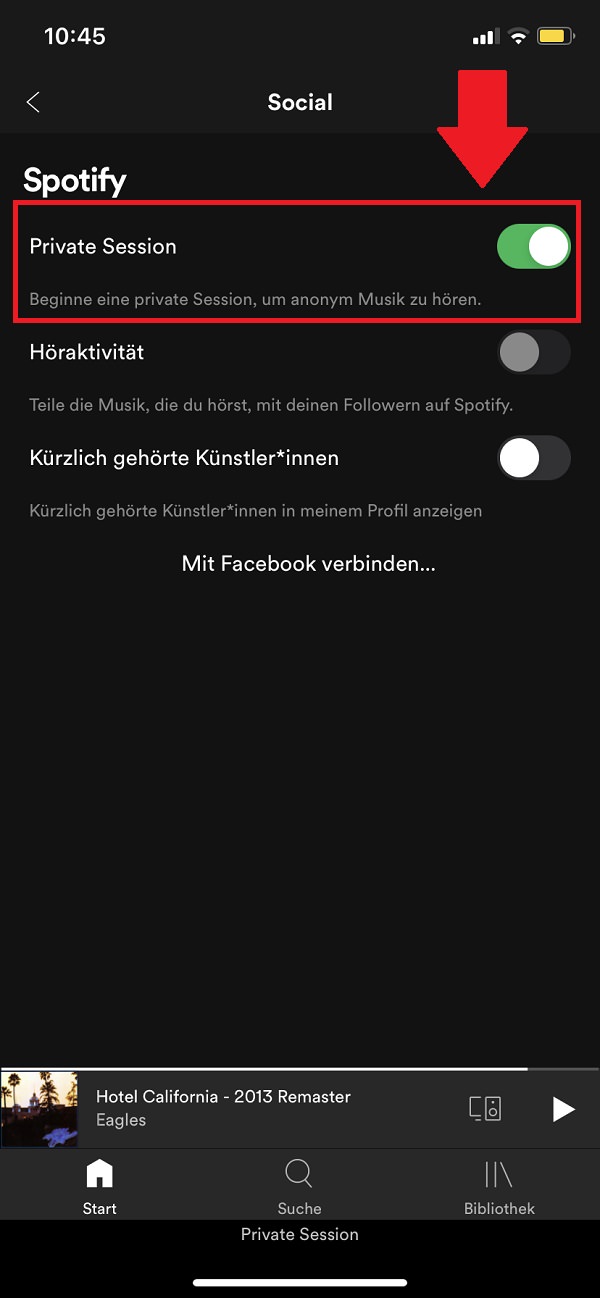 Spotify, Spotify Einstellungen, Spotify Private Session