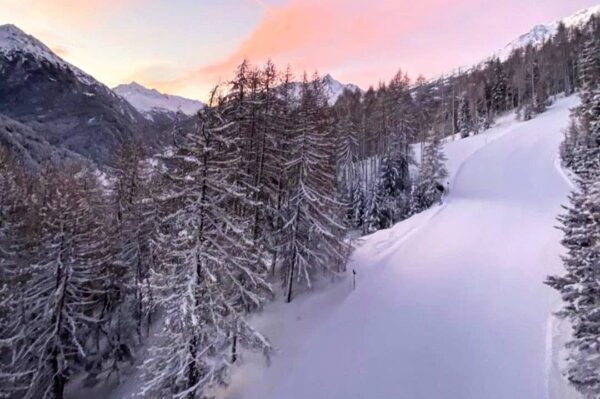 Sölden, Winter, Natur, Wald