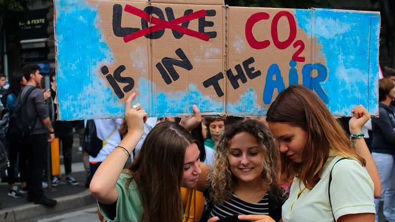 CO2, Plakat, Klimaproteste, Fridays for Future, Emissionen