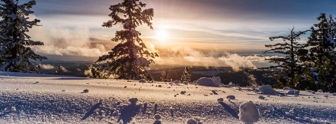 Schnee, Urlaub, Skifahren, virtuelle Ausflüge