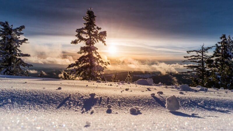 Schnee, Urlaub, Skifahren, virtuelle Ausflüge