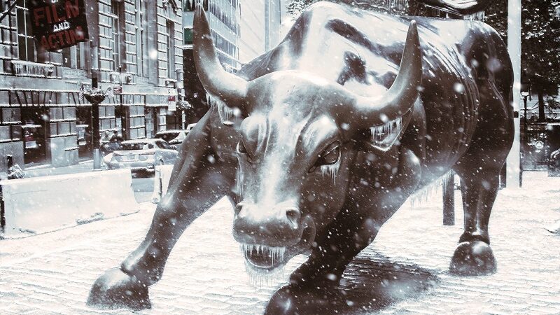 Stier, Wall Street, New York, NYC, USA, Bull, Junge Digitale Wirtschaft