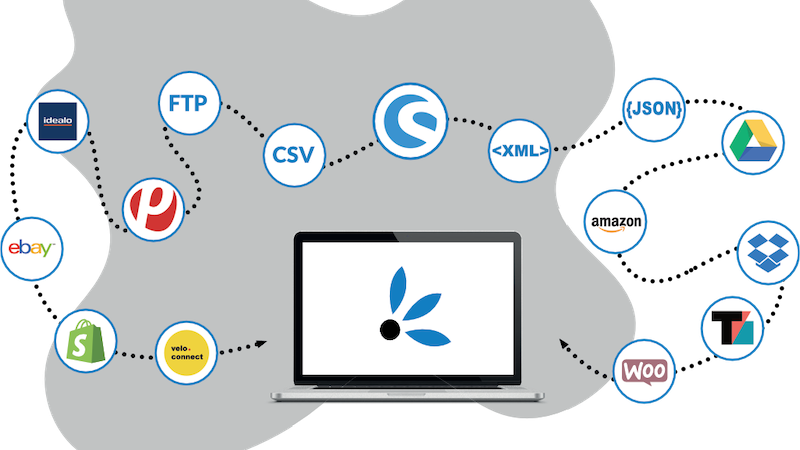 Synesty Markplatzanbindung Programmieren