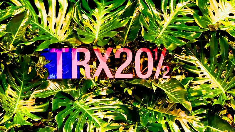 TRX20½, Transactions 20½, virtuelle Konferenzen, digitale Events, Online Events planen