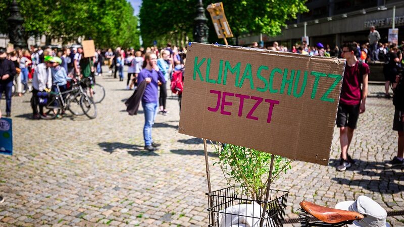 Klima, Klimaschutz, Demonstration, Fridays for Future