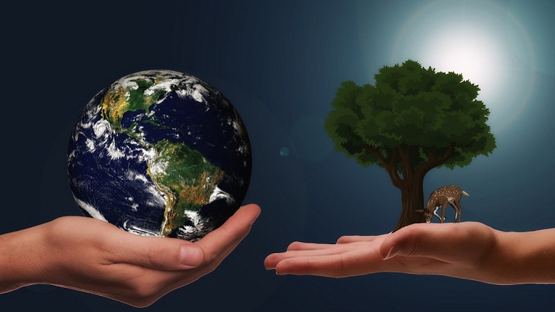 Klimaschutz, Umwelt, Erde, Planet, Naturschutz, Nachhaltigkeit in Unternehmen