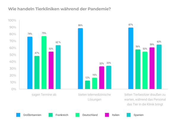 Digitalisierung Tiermedizin Softeq