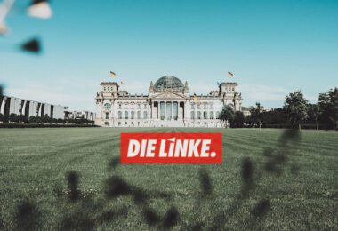 Linke, Wahlprogramm, Partei, Wahl