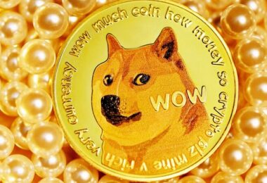 Elon Musk, Twitter, Dogecoin, Altcoin, Altcoins, Elon Musk, Dogecoin Aussprache, Wie spricht man Dogecoin aus?