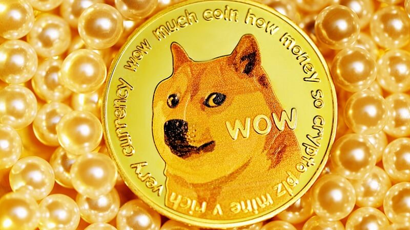 Elon Musk, Twitter, Dogecoin, Altcoin, Altcoins, Elon Musk, Dogecoin Aussprache, Wie spricht man Dogecoin aus?