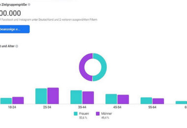 Facebook Analytics, Facebook Audience Insights