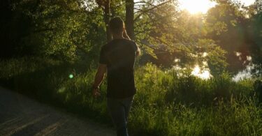 Netzeffekt, Schritte-Challenge, Waldspaziergang, Spaziergang, Fitness
