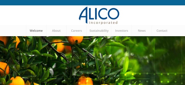 Alico Inc., Alico Citrus, Alico Water