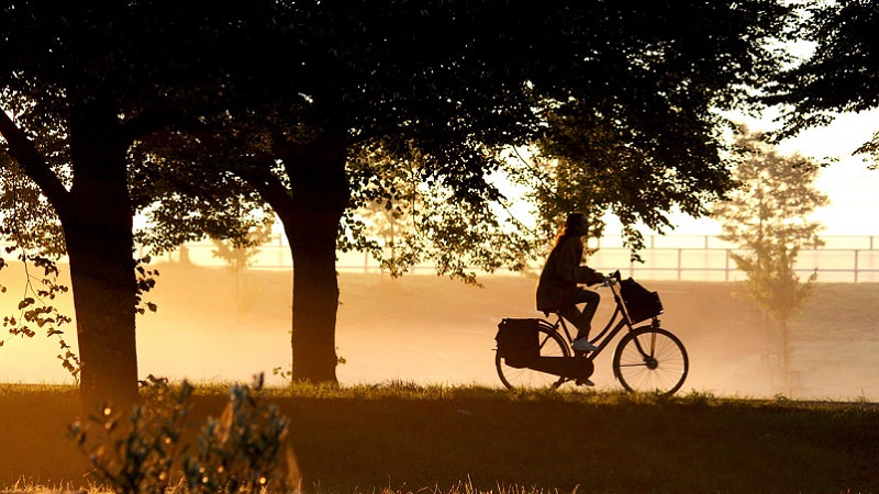 Fahrrad, Fahrradfahrer, Fahrradfahren, Jobrad, Alternativen zur Gehaltserhöhung