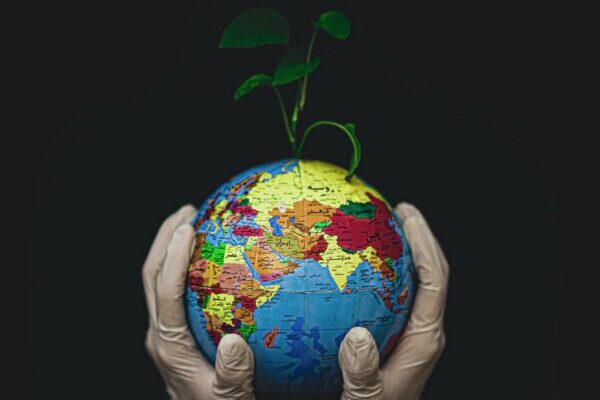 Welt, Erde, Nachhaltigkeit, Pflanze