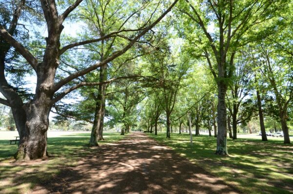 Canberra, Australien