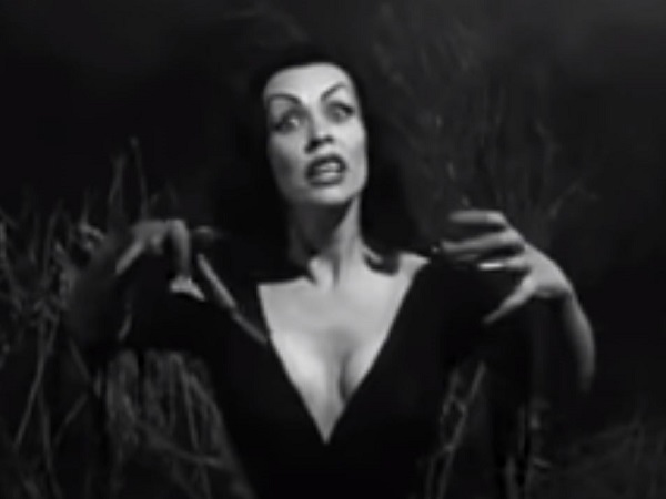 Trash-Filme, Plan 9 from Outer Space