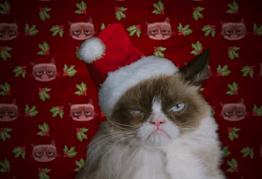Grumpy Cat, Weihnachtsfilme, die schlechtesten Weihnachtsfilme aller Zeiten