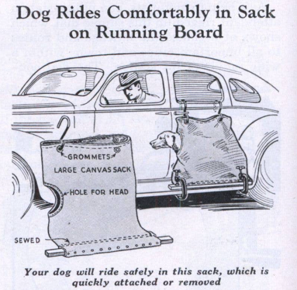 Hundesack, Auto, Auto-Erfindungen, Anzeige, Popular Mechanics