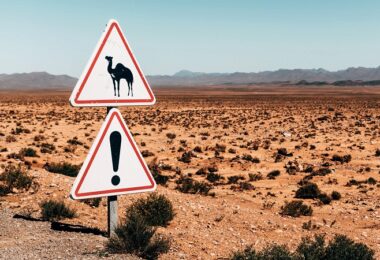 Verkehrsschild, Verkehrsregeln, Wüste, Kamele, reisen