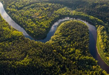 Amazonas, Fluss, Regenwald, Natur, Amazon Name