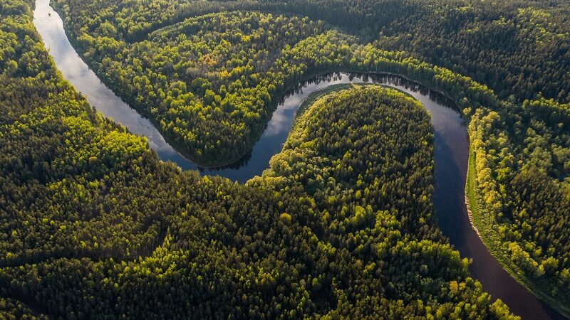 Amazonas, Fluss, Regenwald, Natur, Amazon Name