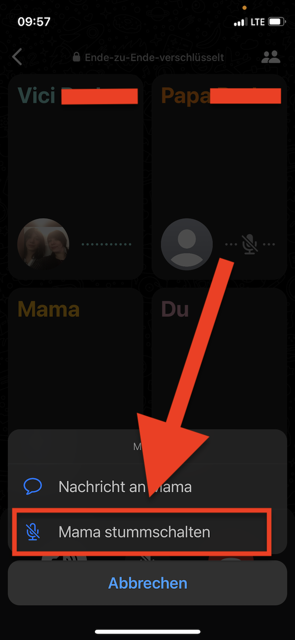 Gewusst wie, Stummschalten, WhatsApp Teilnehmer stummschalten, WhatsApp Gruppenanruf, WhatsApp Gruppenanruf stummschalten 