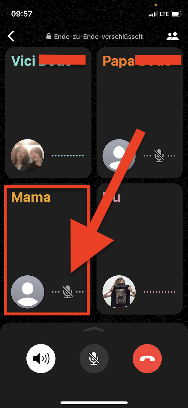 Gewusst wie, stummschalten, WhatsApp Teilnehmer stummschalten, WhatsApp Gruppenanruf, WhatsApp Gruppenanruf stummschalten 