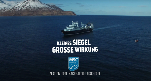 MSC, Greenwashing