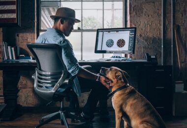 Hund und Arbeit, Hund Büro, Bürohund