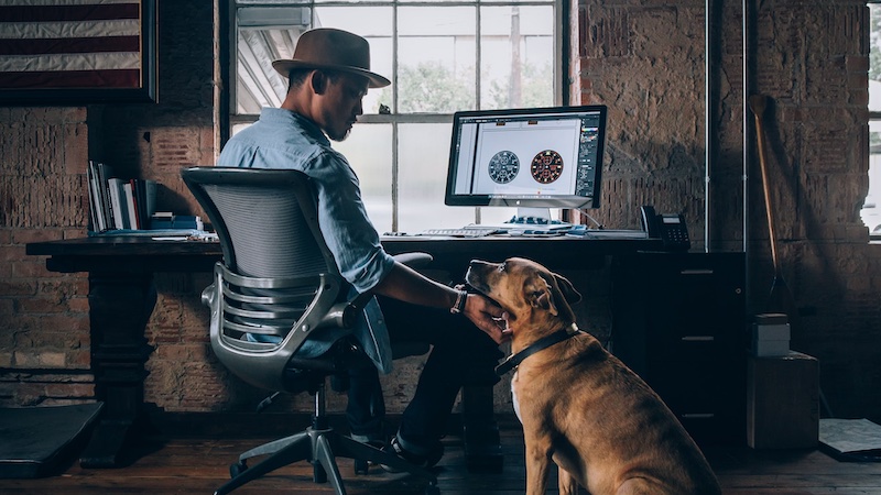 Hund und Arbeit, Hund Büro, Bürohund