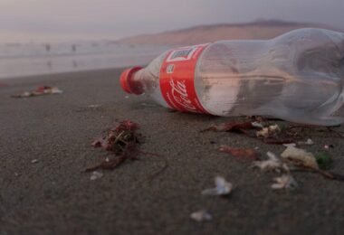 Coca-Cola, nachhaltig, Klimaschutz, Plastikmüll